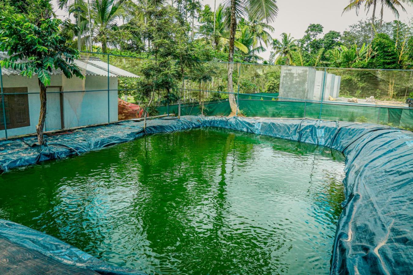 Green Auro By Bob Hotels Wayanad Luaran gambar